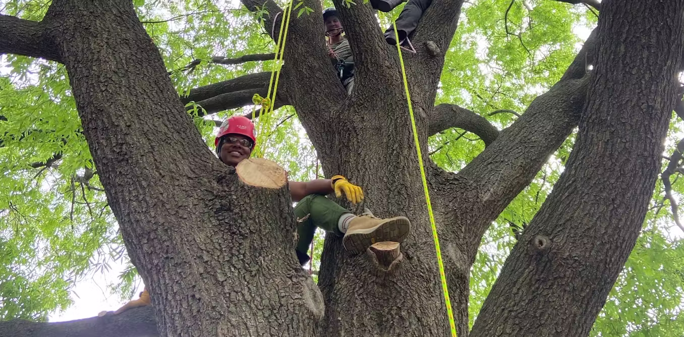Students branch out and climb trees to learn up close how to care for them and why they help cities flourish