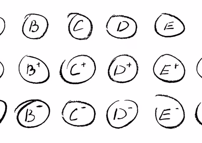 South Carolina is allowing teachers to give zeros again, but the problem with grading goes deeper