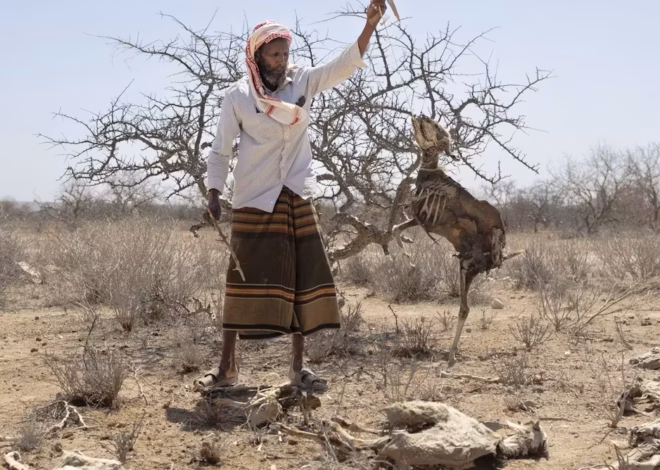 Africa’s Greater Horn region is facing a looming polycrisis fueled by conflict, prices, climate and disease