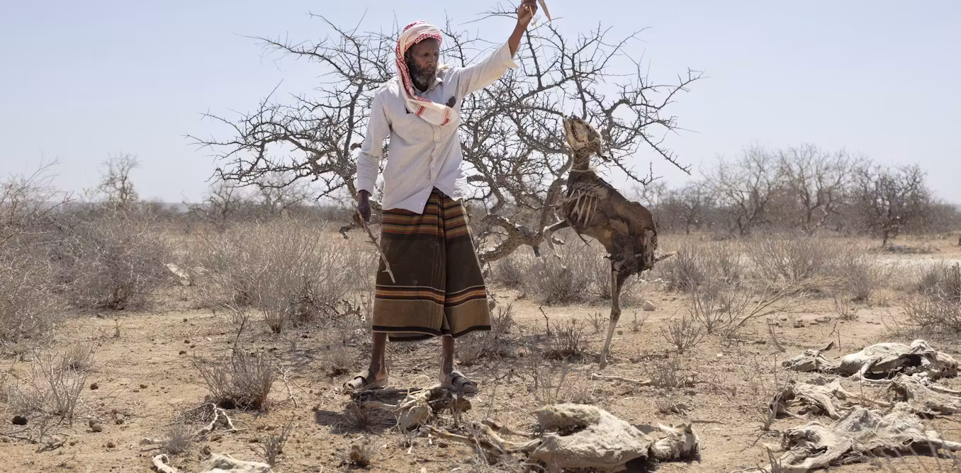 Africa’s Greater Horn region is facing a looming polycrisis fueled by conflict, prices, climate and disease