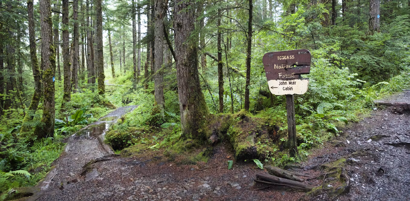 Paving paradise: Dismantling the Roadless Rule threatens to disrupt wildlife, water and peace in the last quiet places in America