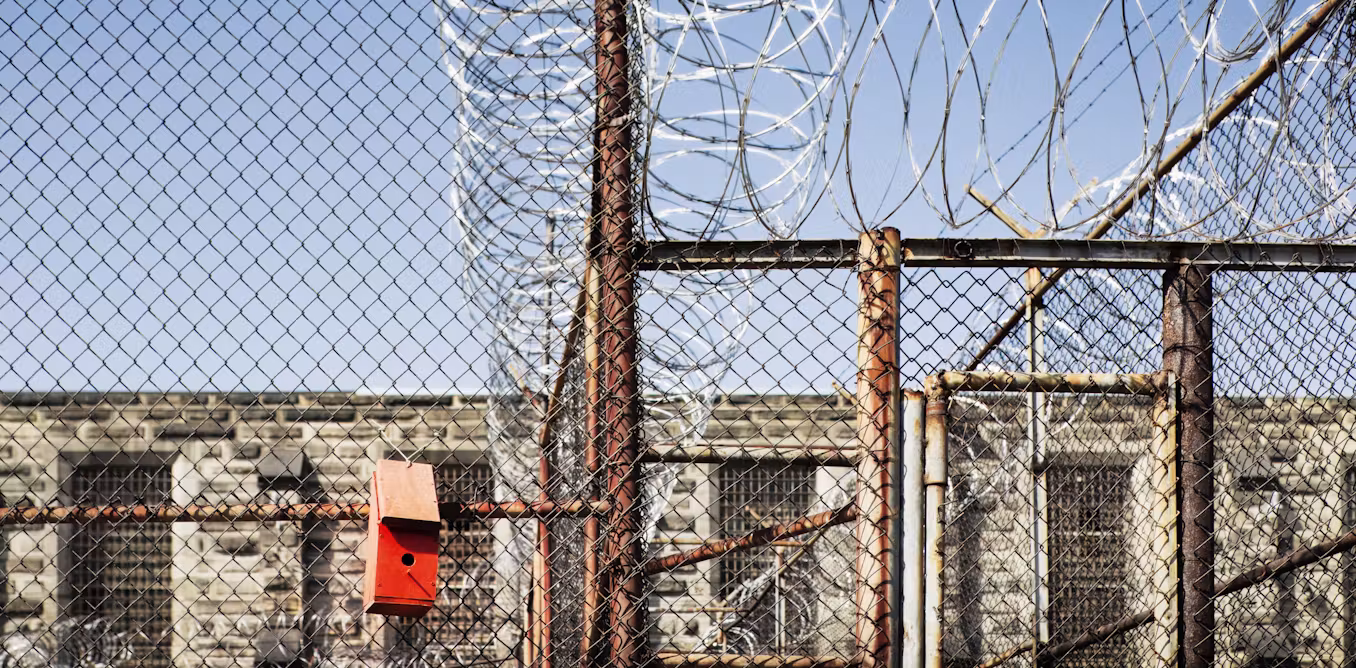 Immigration enforcement is supplying a long‑standing economic market for prisoners