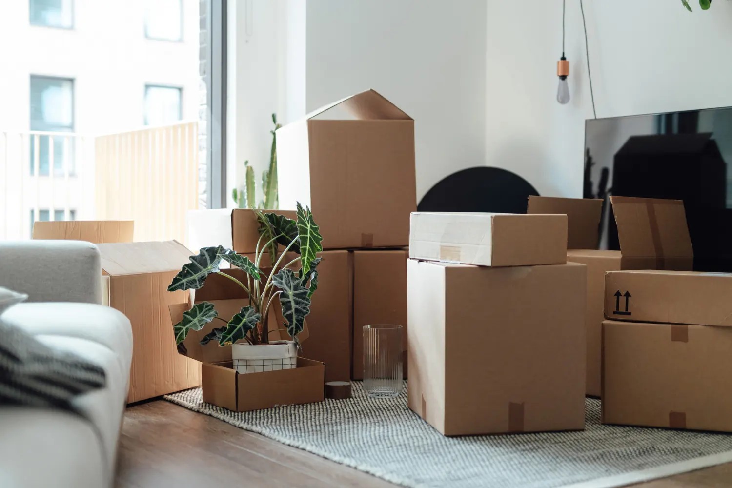 Moving the Workday Too: A Smarter Way to Relocate a Fayetteville Home Office