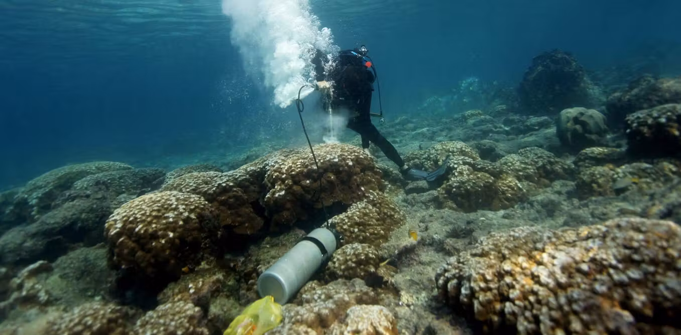 Galápagos corals show El Niño events are more extreme now than in past 1,000 years – here’s how my team made the discovery